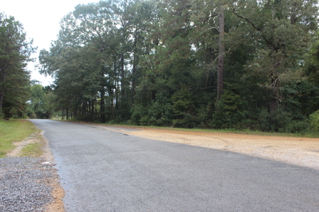 Recreation and Timber Investment Property Amite County Gloster MS - image 11