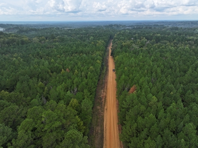 Recreation and Timber Investment Property Amite County Gloster MS - image 16