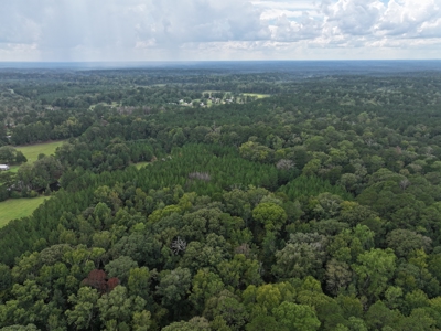 Recreation and Timber Investment Property Amite County Gloster MS - image 21