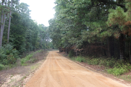 Recreation and Timber Investment Property Amite County Gloster MS - image 1