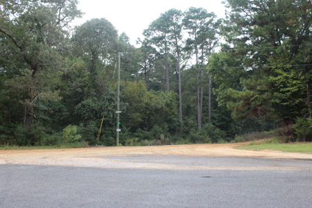 Recreation and Timber Investment Property Amite County Gloster MS - image 9