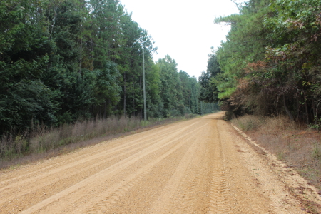 Recreation and Timber Investment Property Amite County Gloster MS - image 4
