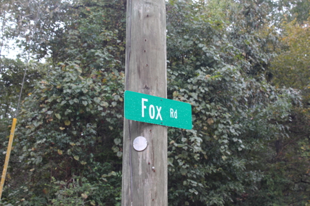 Recreation and Timber Investment Property Amite County Gloster MS - image 12