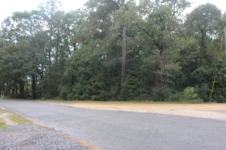 Recreation and Timber Investment Property Amite County Gloster MS - image 10
