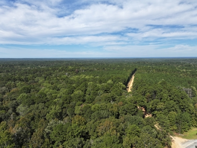 Recreation and Timber Investment Property Amite County Gloster MS - image 24