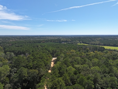 Recreation and Timber Investment Property Amite County Gloster MS - image 23