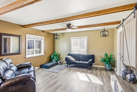 Charming Downtown Montrose Colorado Homes - Walk to Everything! - image 5