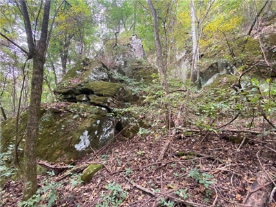 39.75 Newton County Hunting Land/Timber Property For Sale Low Gap - image 11