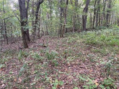 39.75 Newton County Hunting Land/Timber Property For Sale Low Gap - image 8