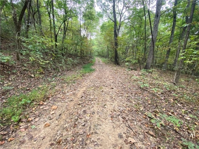 39.75 Newton County Hunting Land/Timber Property For Sale Low Gap - image 3