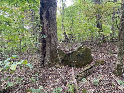 39.75 Newton County Hunting Land/Timber Property For Sale Low Gap - image 12