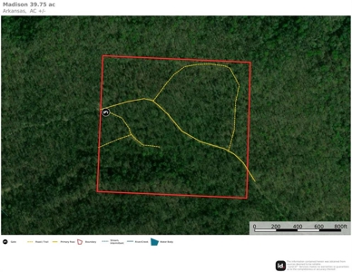 39.75 Newton County Hunting Land/Timber Property For Sale Low Gap - image 2