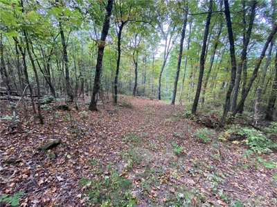 39.75 Newton County Hunting Land/Timber Property For Sale Low Gap - image 4