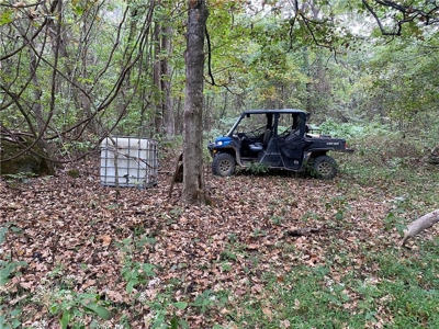 39.75 Newton County Hunting Land/Timber Property For Sale Low Gap - image 7