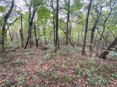 39.75 Newton County Hunting Land/Timber Property For Sale Low Gap - image 13