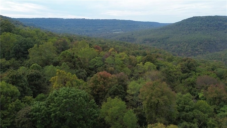 39.75 Newton County Hunting Land/Timber Property For Sale Low Gap - image 18
