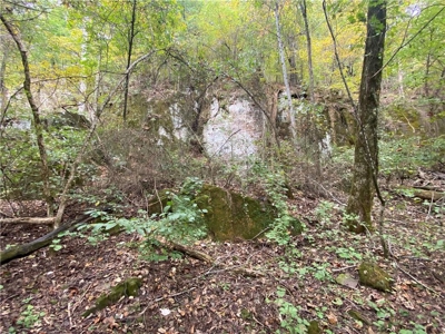 39.75 Newton County Hunting Land/Timber Property For Sale Low Gap - image 10