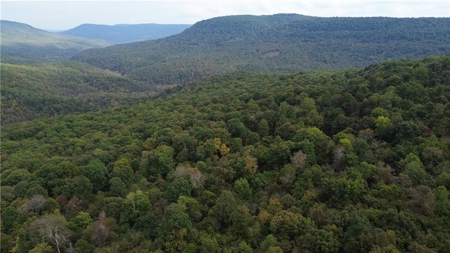 39.75 Newton County Hunting Land/Timber Property For Sale Low Gap - image 19