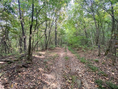 39.75 Newton County Hunting Land/Timber Property For Sale Low Gap - image 14
