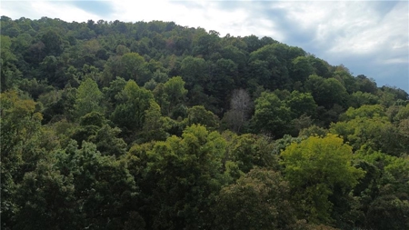 39.75 Newton County Hunting Land/Timber Property For Sale Low Gap - image 21