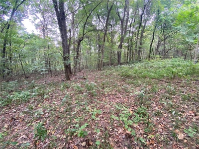 39.75 Newton County Hunting Land/Timber Property For Sale Low Gap - image 9
