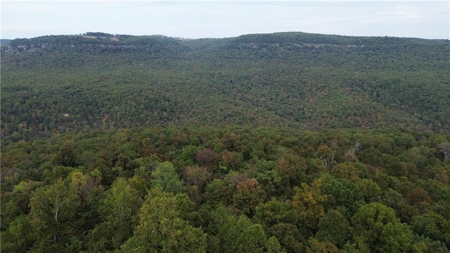 39.75 Newton County Hunting Land/Timber Property For Sale Low Gap - image 20