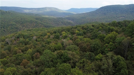 39.75 Newton County Hunting Land/Timber Property For Sale Low Gap - image 17