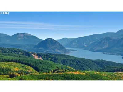 River and Mountain View Home in Stevenson, Washington - image 15