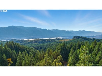 River and Mountain View Home in Stevenson, Washington - image 9