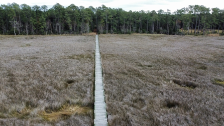 Peaceful Waterfront Living Near the Crystal Coast - 1.4 AC - image 35