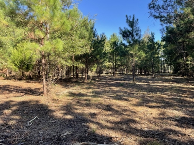 Peaceful Waterfront Living Near the Crystal Coast - 1.4 AC - image 11