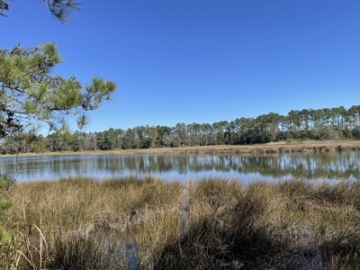 Peaceful Waterfront Living Near the Crystal Coast - 1.4 AC - image 5