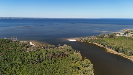 Peaceful Waterfront Living Near the Crystal Coast - 1.4 AC - image 14