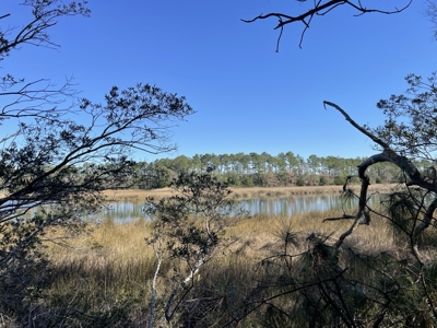 Peaceful Waterfront Living Near the Crystal Coast - 1.4 AC - image 9