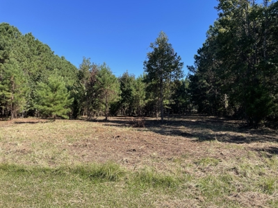 Peaceful Waterfront Living Near the Crystal Coast - 1.4 AC - image 12