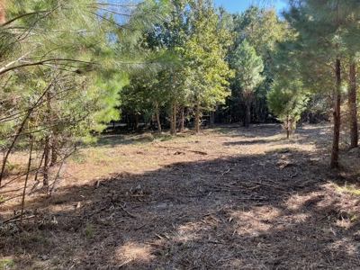 Peaceful Waterfront Living Near the Crystal Coast - 1.4 AC - image 2