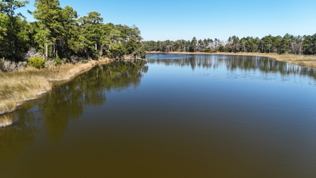 Peaceful Waterfront Living Near the Crystal Coast - 1.4 AC - image 16