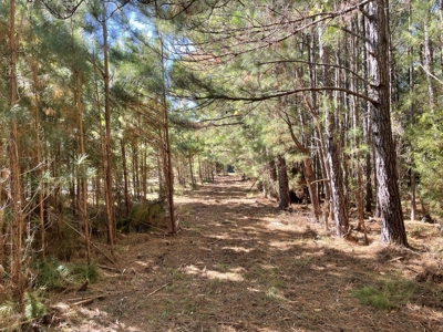 Peaceful Waterfront Living Near the Crystal Coast - 1.4 AC - image 3