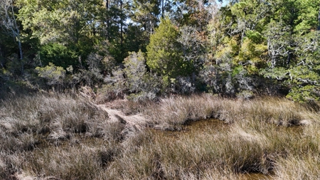 Peaceful Waterfront Living Near the Crystal Coast - 1.4 AC - image 18