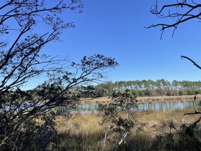 Peaceful Waterfront Living Near the Crystal Coast - 1.4 AC - image 7