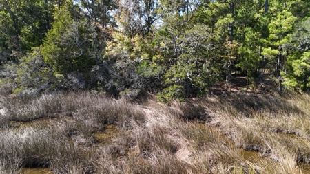 Peaceful Waterfront Living Near the Crystal Coast - 1.4 AC - image 20