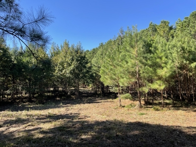 Peaceful Waterfront Living Near the Crystal Coast - 1.4 AC - image 8