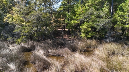 Peaceful Waterfront Living Near the Crystal Coast - 1.4 AC - image 19