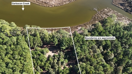 Peaceful Waterfront Living Near the Crystal Coast - 1.4 AC - image 25