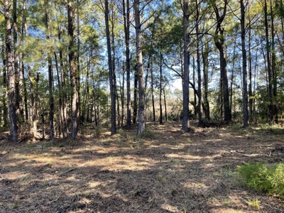 Peaceful Waterfront Living Near the Crystal Coast - 1.4 AC - image 10