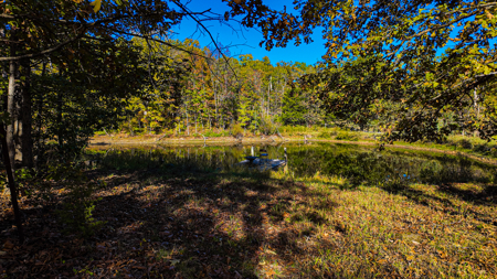Recreational Property For Sale Osceola MO - image 3