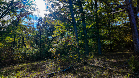 Recreational Property For Sale Osceola MO - image 31