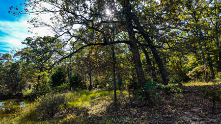 Recreational Property For Sale Osceola MO - image 30
