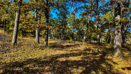 Recreational Property For Sale Osceola MO - image 32