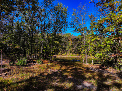 Recreational Property For Sale Osceola MO - image 46